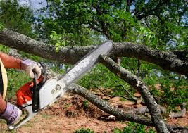 Lawn Watering Services in Bethel Island, CA